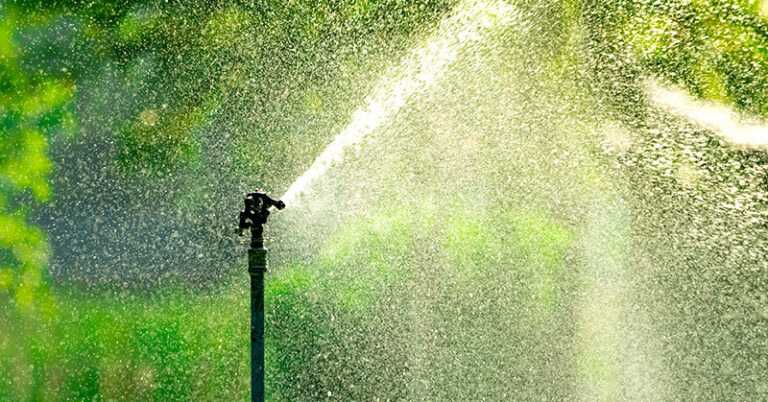 The Best Rotary Sprinkler Heads for Watering Your Lawn or Garden