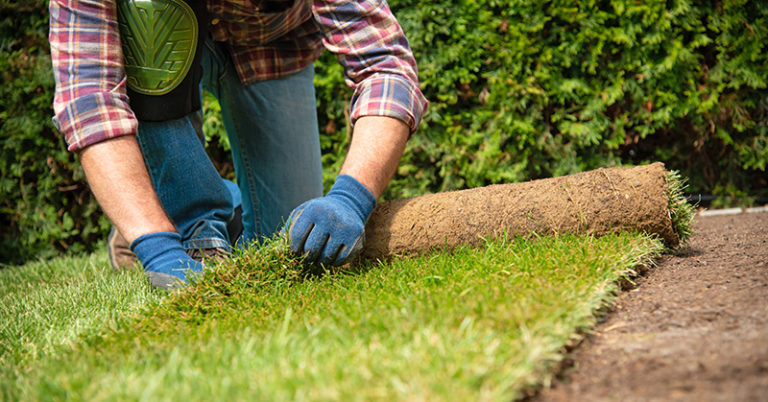 When to Mow New Sod? A Guide to New Sod Care