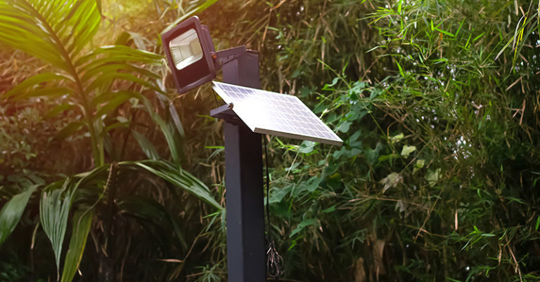The Best Outdoor Solar Spotlights You Should Buy in 2022