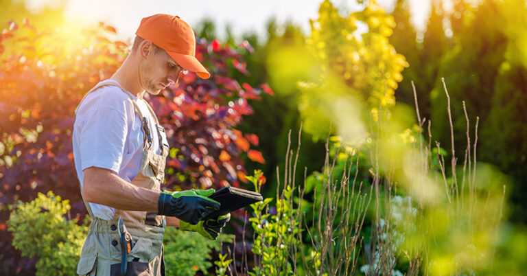 How to Start a Landscaping or Lawn Care Business