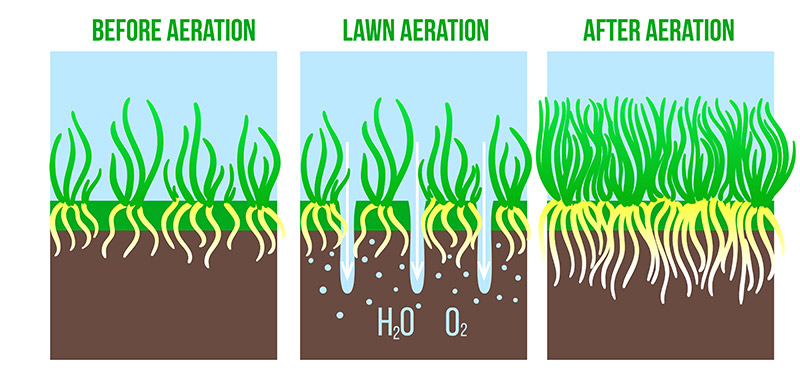 Lawn Aeration Process Illustration